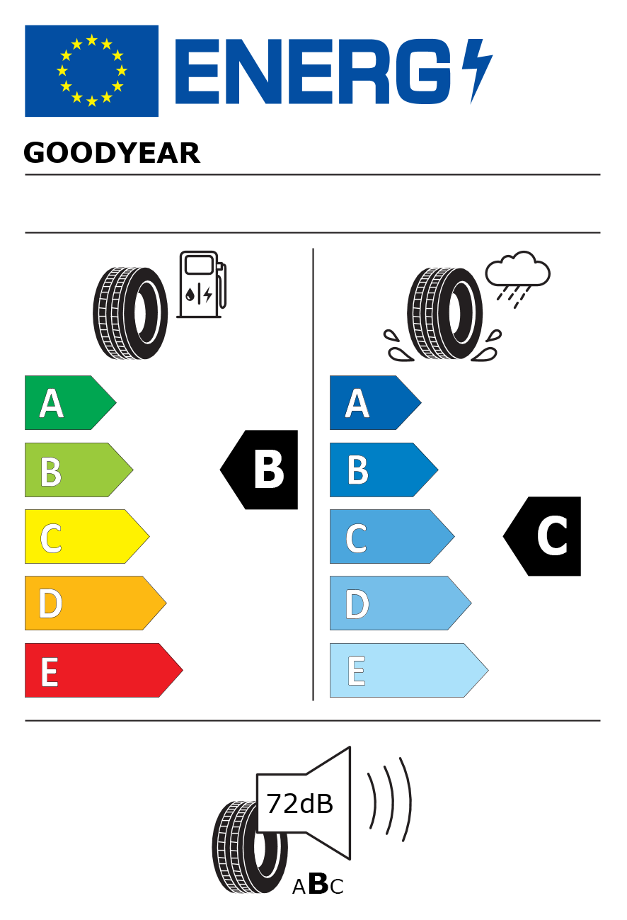 Etichetta energetica per Pneumatico GOODYEAR 255/40 R19 100V ULTRAGRIP PERFORMANCE 3 M+S FR XL